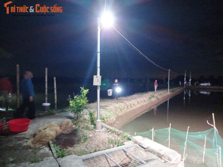 Trời về khuya, nước ở các ruộng rươi đã cạn trơ đáy, lúc này người dân thu dọn dụng cụ, mang rươi vừa thu hoạch đến điểm thu mua.