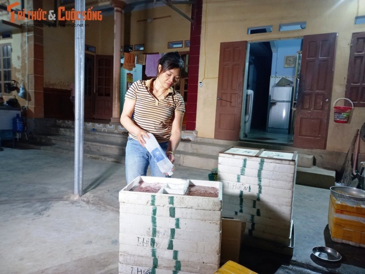 Hiện giá rươi đầu mùa ở An Thanh đang dao động từ 300-350.000 đồng/kg. Mỗi tối thu hoạch người dân cũng có vài triệu đồng.