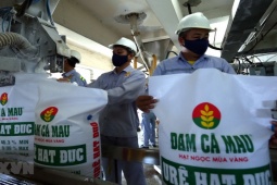 Kinh doanh - Có gần 10 nghìn tỷ đồng tiền mặt và gửi ngân hàng, đại gia phân đạm thu về bao nhiêu tiền lãi?