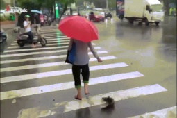 Phi thường - kỳ quặc - Cụ bà dắt... cá đi dạo trên phố