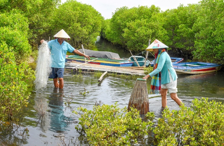 Rừng ngập mặn đẹp như mơ ở Bàu Cá Cái Quảng Ngãi - 12