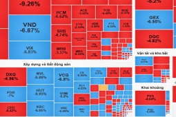 Kinh doanh - Bán tháo trên diện rộng, nhà đầu tư đua nhau thoát hàng, chứng khoán mất gần 50 điểm