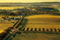 Du lịch - Thung lũng nào được coi là “Thiên đường rượu vang”?