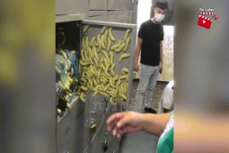 Phi thường - kỳ quặc - Video: Người phụ nữ cất túi tằm mới mua vào tủ cá nhân tối đem về nấu ăn ai ngờ đến lúc mở tủ mang về thì "xanh mặt"