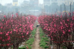 Tin tức trong ngày - Chính thức trình Thủ tướng phương án nghỉ Tết Nguyên đán Giáp Thìn 2024