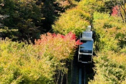 Du lịch - Du khách bị mùa thu Hàn Quốc mê hoặc