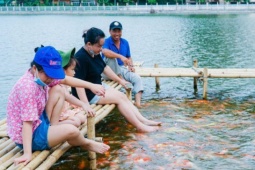 Tin tức trong ngày - Dừng nuôi 8 tấn cá koi ở Hồ Tây