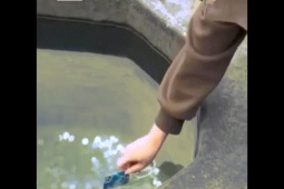 Bạn trẻ - Cuộc sống - "Dở khóc dở cười" trước khoảnh khắc cô gái quẹt thẻ để cầu duyên