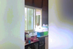 Video: Mở tung cửa sổ đón ánh mặt trời, người phụ nữ hãi hùng vì sự xuất hiện của ”bé na”
