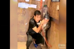 Clip hài hước - Tổng hợp những màn dắt chó đi dạo cực hài