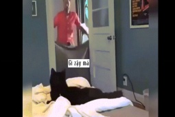 Clip hài hước - Ảo thuật "troll" thú cưng vui hết cỡ