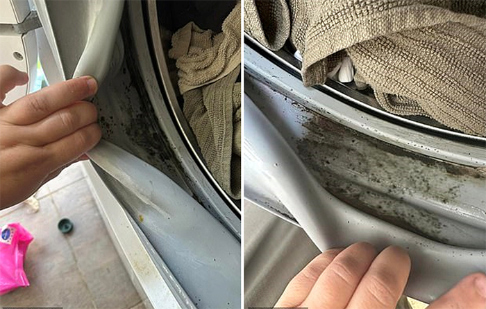 Một bà mẹ đã bị sốc khi phát hiện ra bụi bẩn và nấm mốc tích tụ bên trong gioăng cửa cao su của máy giặt cửa trước và hỏi mẹo làm sạch nó.