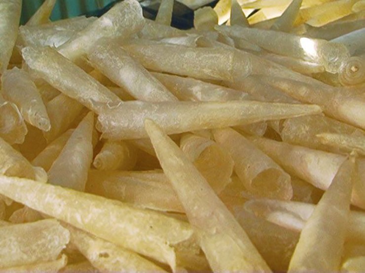 Trên thị trường, bong bóng cá lạc có giá lên tới 9 triệu đồng/kg.
