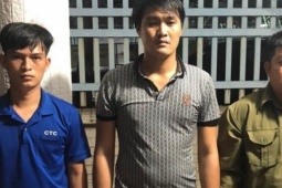 Nhóm “dơi đêm” trộm cây mai vàng trị giá gần 150 triệu đồng