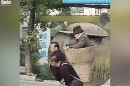 Bạn trẻ - Cuộc sống - Video: Hai anh em trai thay nhau cõng mẹ già đến bệnh viện bằng chiếc giỏ tre gây sốt cộng đồng mạng