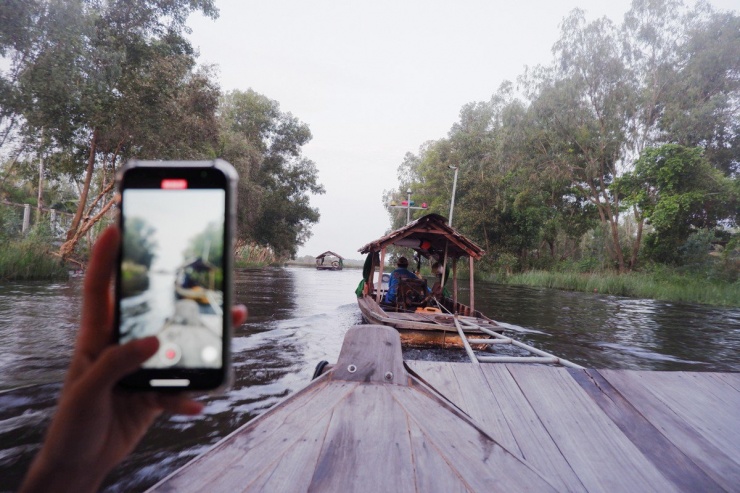 Với tour ngắm bình minh Tràm Chim, du khách di chuyển lên xuồng kéo và bắt đầu chuyến hành trình ngắm bình minh và khám phá thiên nhiên với các loài hoa như sen, súng, cùng các loài chim...