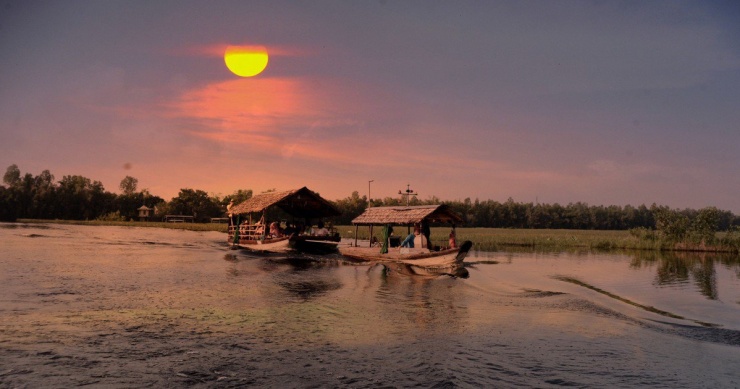 Hành trình đón bình minh Tràm Chim là một trải nghiệm mới mẻ và thú vị.