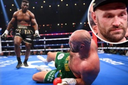 Thể thao - Tyson Fury bị Ngannou đấm &quot;tơi bời&quot;, phải dời lịch thượng đài với Usyk