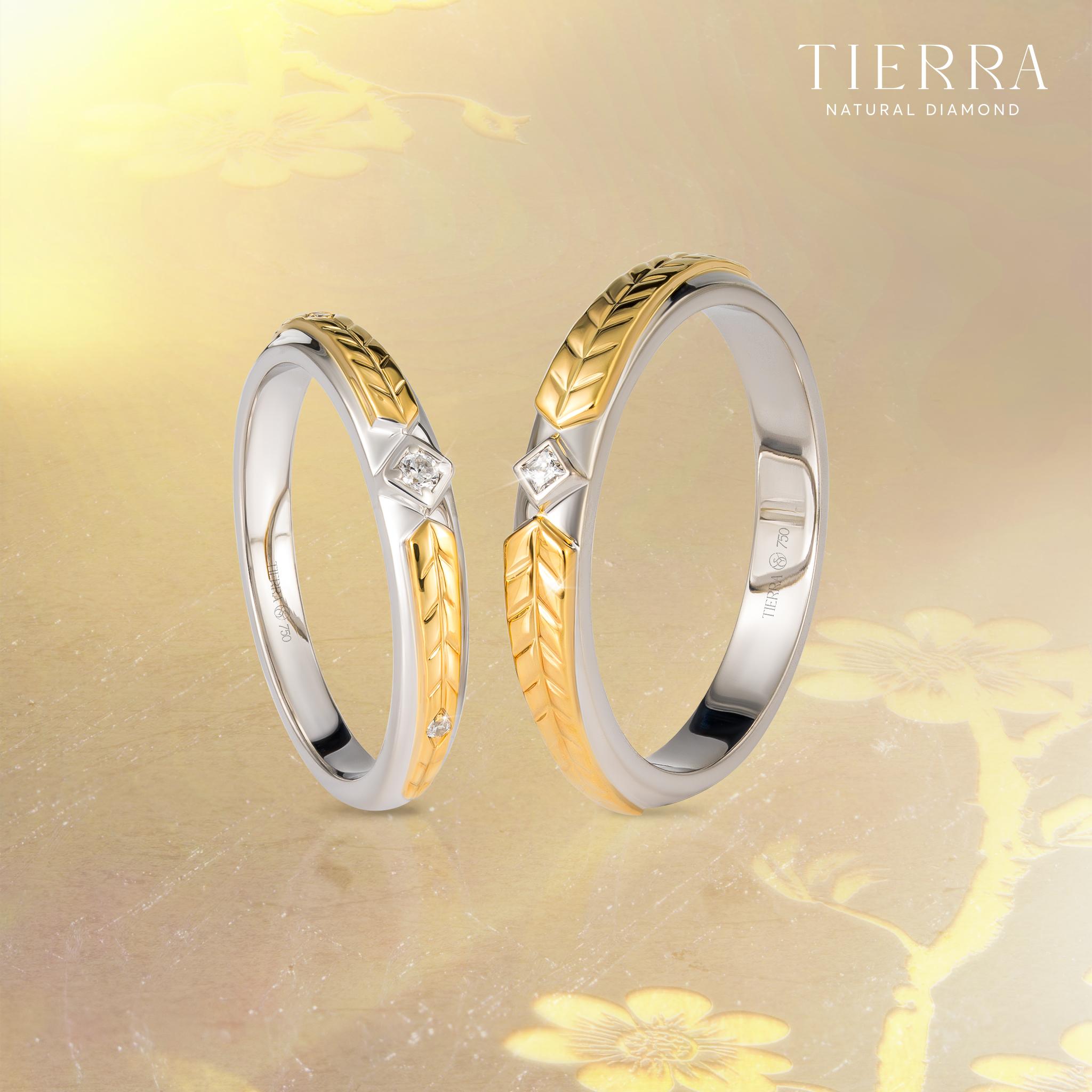 Nhẫn cưới lấy cảm hứng từ Lúa