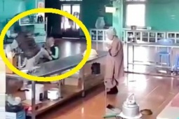 Tin tức trong ngày - Lâm Đồng: Xác minh clip bạo hành tại thiền viện Long Tượng