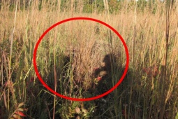 Pháp luật - Tội ác của người đàn ông bỏ vợ cưới cô gái kém 30 tuổi: 16 ngày ẩn nấp ở nơi không ngờ