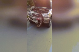 Phi thường - kỳ quặc - Mở nắp capo, tài xế "rùng mình" khi thấy con vật khổng lồ đang ngọ nguậy bên dưới