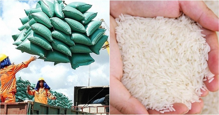 Giá gạo xuất khẩu Việt Nam lập kỷ lục cao nhất trong 10 năm qua.