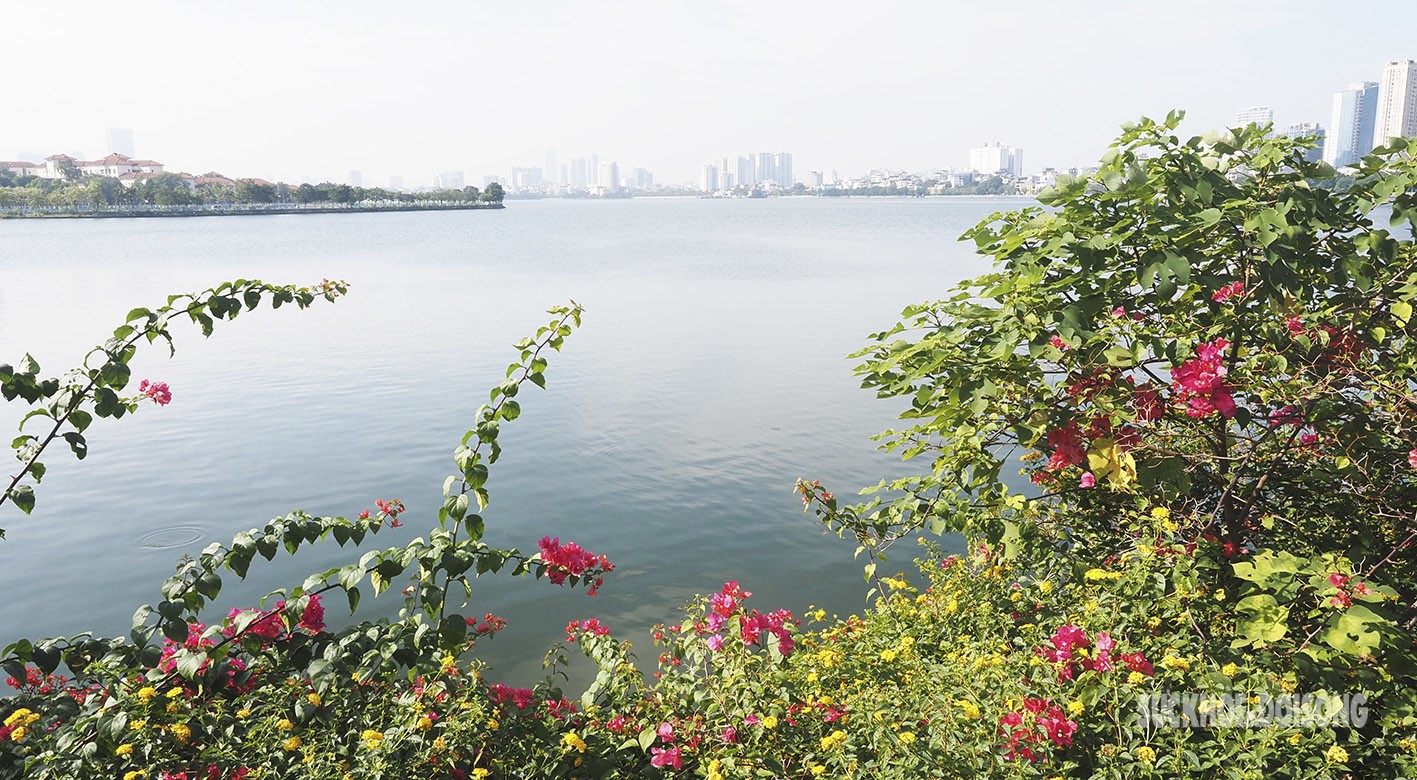 Hiện tại, mặt hồ Tây khu vực Đầm Bảy trước đây từng là nơi neo đậu của các du thuyền bỏ hoang, đến nay đã trở nên thoáng đãng hơn.