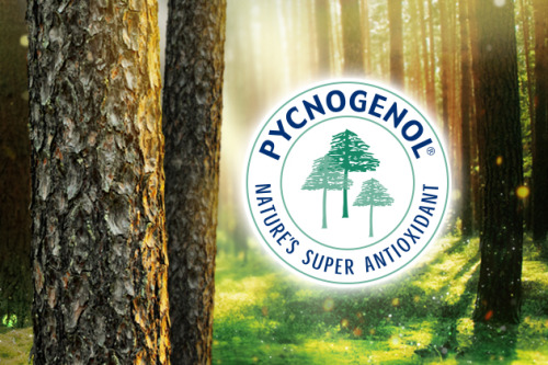 Pycnogenol® có ký hiệu ® là cách nhận biết Pycnogenol được đăng ký bảo hộ công nghệ chiết xuất ưu việt