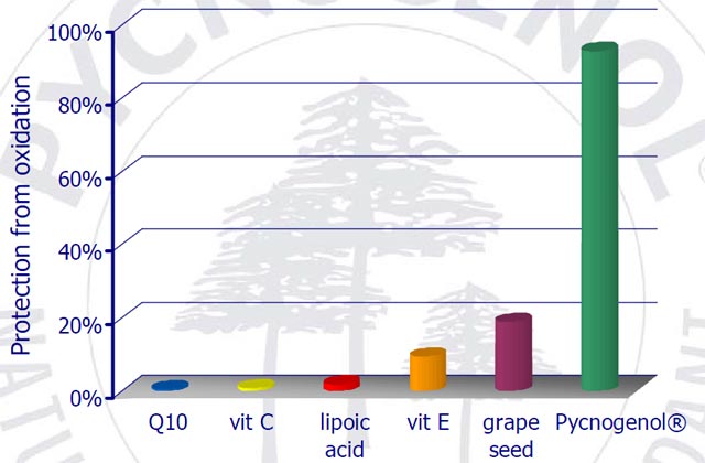 Pycnogenol® chống oxy hóa vượt trội