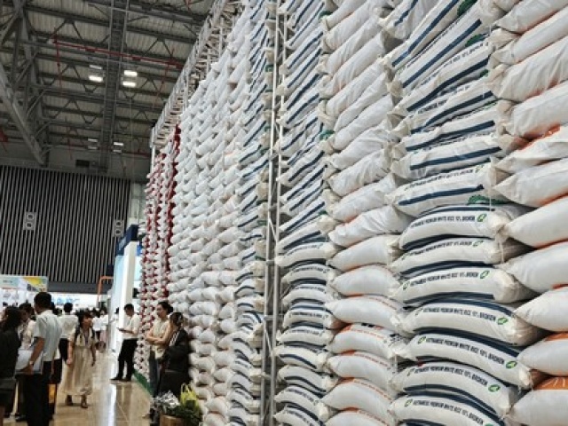 Kinh doanh - Các ông lớn ngành gạo làm ăn ra sao trong cơn sốt giá gạo?