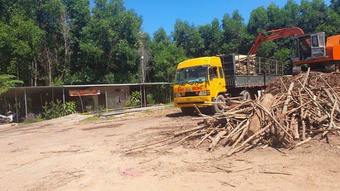 Cơ sở thu mua gỗ keo tràm có gắn cân tải trọng tại thôn Hưng An, xã Xuân Lộc, huyện Phú Lộc.