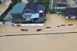 Tin tức trong ngày - Đợt mưa xối xả ở miền Trung còn kéo dài đến khi nào?