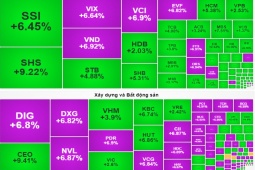 Kinh doanh - Đại gia Thanh Hóa mất hơn 50 tỷ đồng trong ngày chứng khoán tăng mạnh nhất từ đầu năm