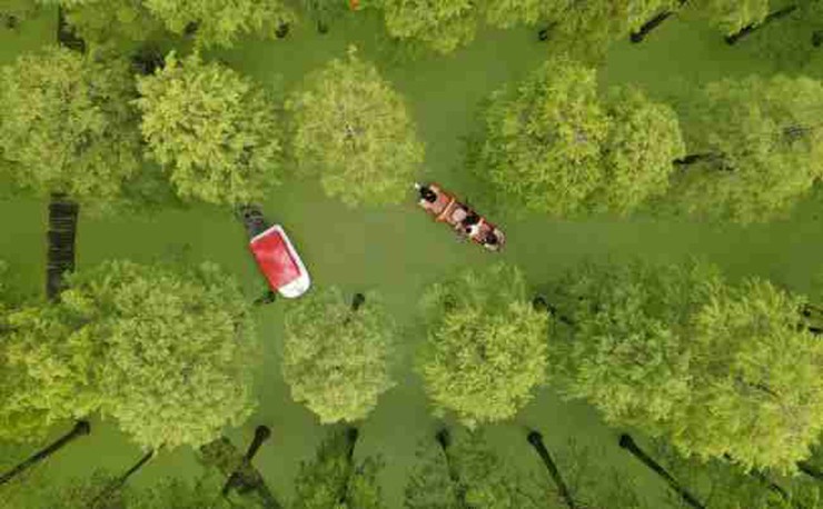 Hồ Hạo Dương là điểm đến nổi tiếng cho những người đam mê câu cá. Bạn có thể thuê cần câu và thử bắt một số loài cá nước ngọt sống trong hồ như cá chép và cá diếc.
