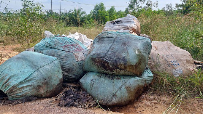 Những bao tải rác thải được vứt chất đống tại khu đất trống