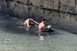 Tin tức trong ngày - Sự thật clip "bị bắt xe ba gác, năn nỉ không được, nhảy kênh Tân Hóa"