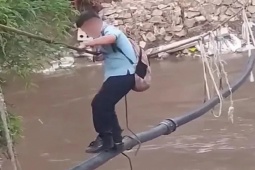 Bạn trẻ - Cuộc sống - Xót lòng cảnh học sinh "liều mạng" đi cầu dây bắc qua sông cá sấu để tới trường mỗi ngày
