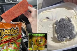 Tranh vui - Hết hồn với “vật thể lạ” xuất hiện trong đồ ăn
