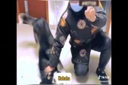 Clip hài hước - Nuôi ăn rồi "báo", những con vật "bật" lại chủ cực hài