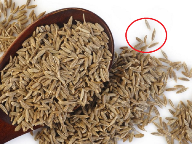 Thị trường - Tiêu dùng - Loại hạt nhỏ xíu đắt đỏ trên thế giới, ở Việt Nam cũng được ưa chuộng bởi "vựa" dinh dưỡng