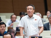 Kinh doanh - ''Giá nhà đất Việt Nam quá cao so với thu nhập chung của xã hội''