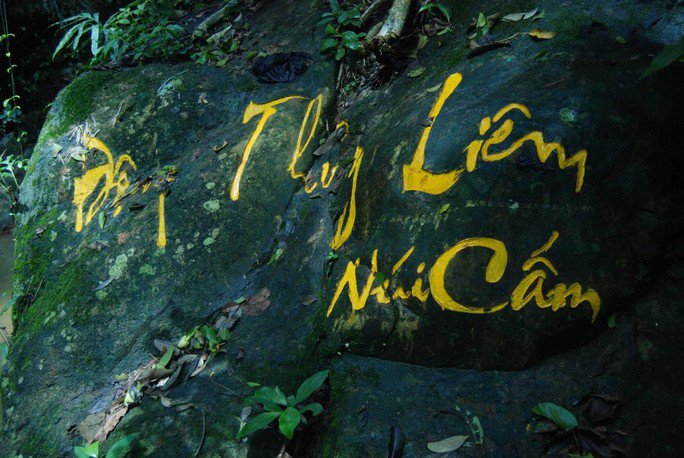 Vách đá rêu phong trầm mặc nhuốm màu thời gian