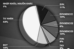Thị trường - Tiêu dùng - EVN không còn độc quyền về nguồn điện