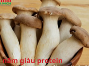 Ẩm thực - Loại nấm giàu protein, tốt cho người giảm cân, bán đầy ngoài chợ Việt