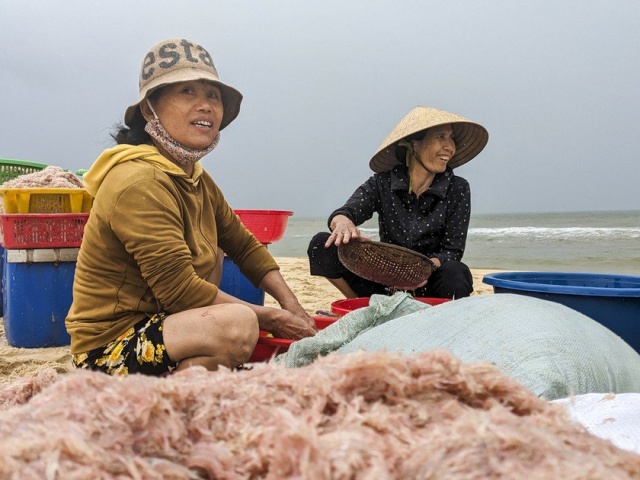 Thị trường - Tiêu dùng - Ngư dân Quảng Trị trúng ruốc trước ngày biển động