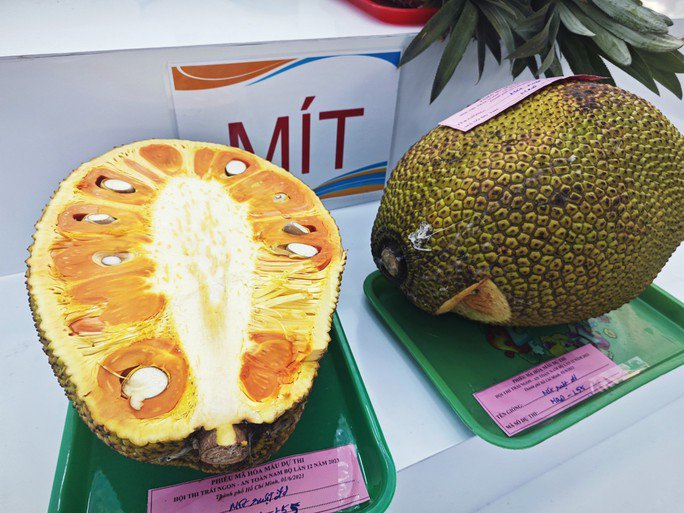 Mít ruột đỏ sốt giá, nhà vườn trúng đậm