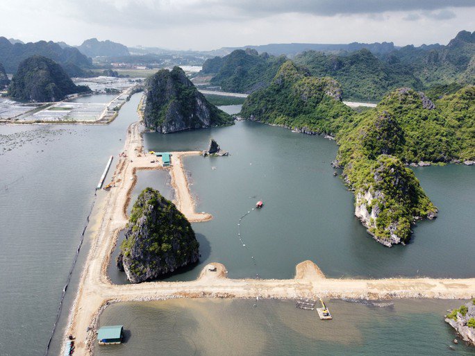  Theo UBND tỉnh Quảng Ninh,  Hiện trạng khu vực thực hiện dự án là bãi sình lầy nằm toàn bộ trong đường triều kiệt đã được Bộ TN-MT phê duyệt  