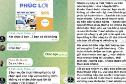 Pháp luật - Xem video kiếm tiền, một phụ nữ bị lừa tiền, bôi xấu trên mạng