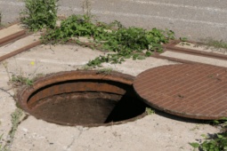 Pháp luật - Bí mật sau cái chết của lập trình viên dính “bẫy tình” qua mạng: "Mặt tối" đáng sợ